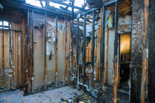 Professional Fire Damage Removal technician working in Lake Magdalene, FL